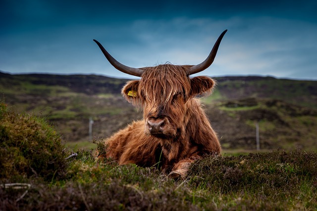 Mountain scenery in Scotland